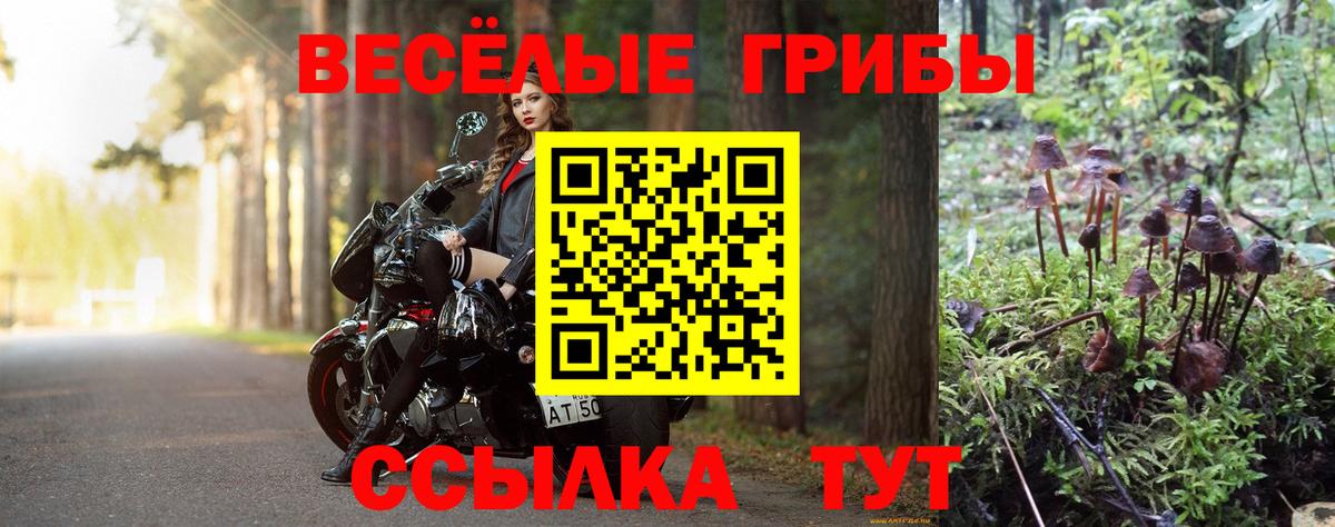 купить наркотик  Галлюциногенные грибы мухоморы  Вход с VPN  Владивосток 