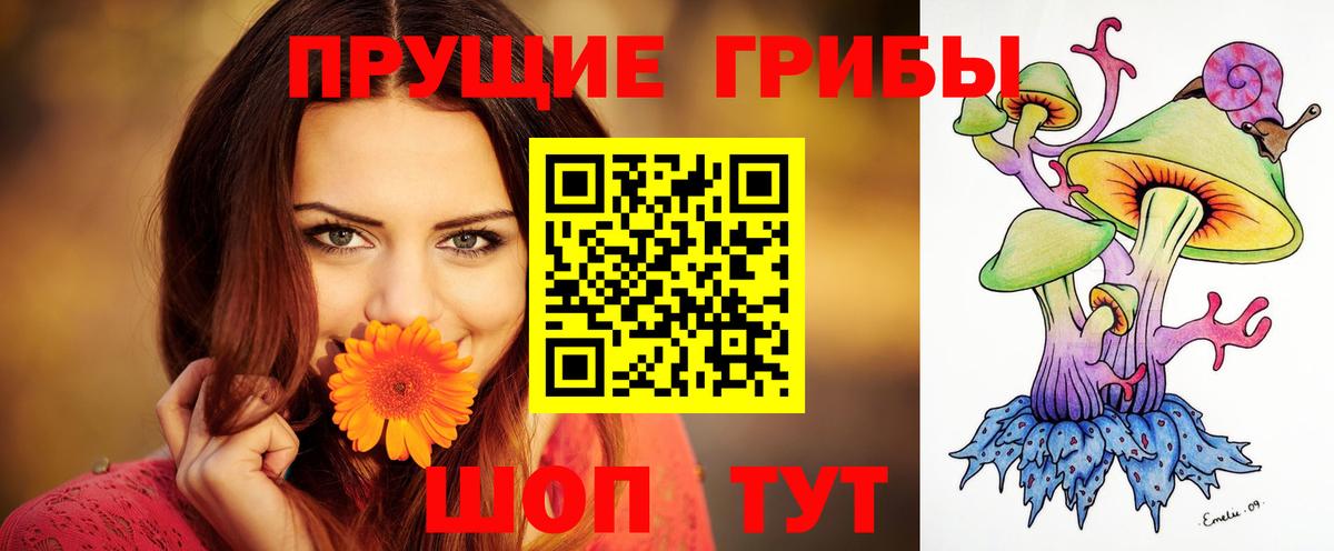 Псилоцибиновые грибы прущие грибы Владивосток